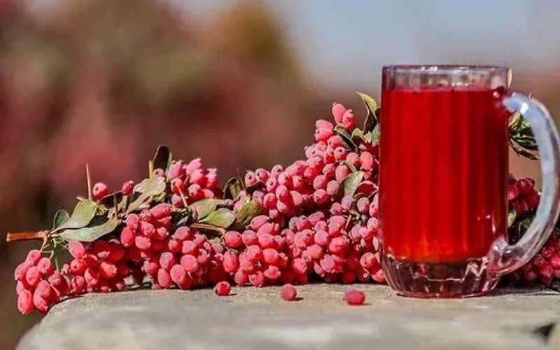 دانه کوچک و ترش اما «ابرغذا»؛ زرشک چه فوایدی برای بدن دارد؟ دانه کوچک و ترش اما «ابرغذا»؛ زرشک چه فوایدی برای بدن دارد؟