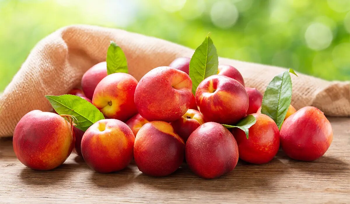 با این میوه تابستانی به جنگ بیماری‌ها بروید