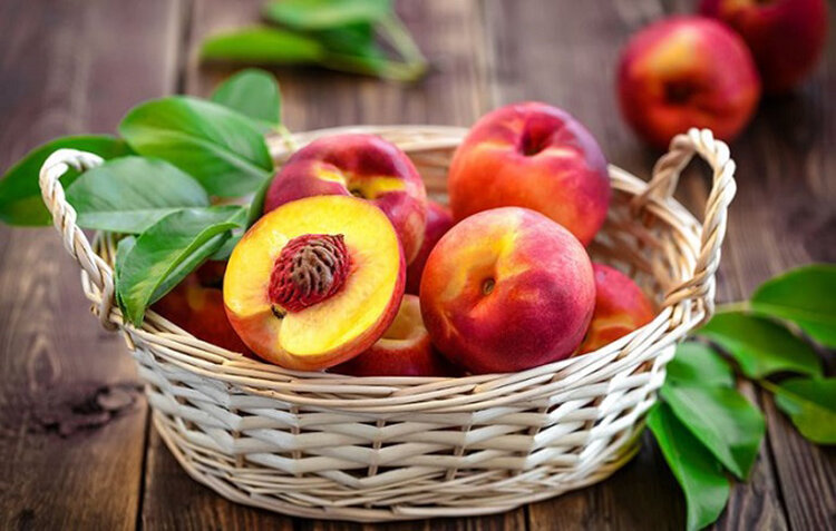 با این میوه تابستانی به جنگ بیماریها بروید با این میوه تابستانی به جنگ بیماریها بروید
