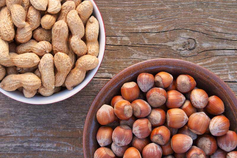 فندق یا بادام‌زمینی؛ کدام‌یک بیشتر کلسترول را پایین می‌آورد؟