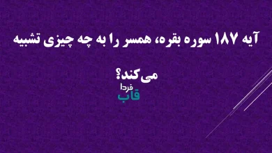آیه 187 سوره بقره، همسر را به چه چیزی تشبیه می‌کند؟