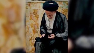 تصاویری از تشرف مرحوم آیت الله شبیری زنجانی به حرم حضرت معصومه(س) | ویدئو