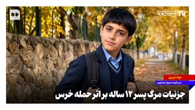 جزئیات مرگ پسر دوازده ساله بر اثر حمله خرس + ویدئو