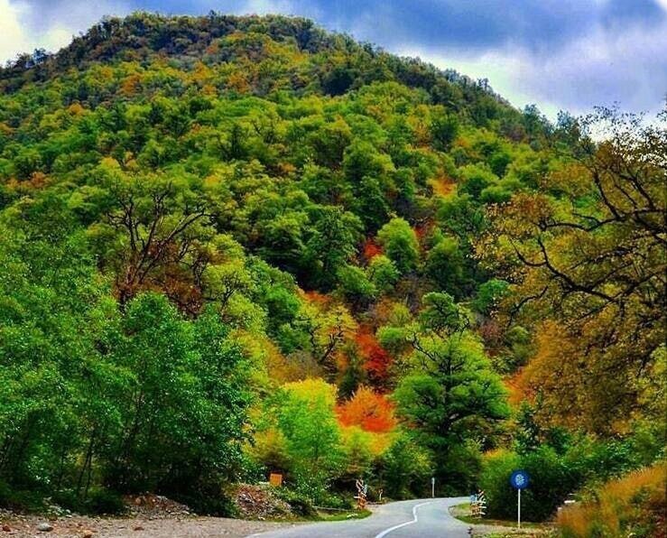 شلوغ‌کاری مجازی برای میراث زنده جهانی | سه مسئول ارشد به حاشیه‌سازی‌ها پاسخ دادند | پارک ملی گلستان تکه‌تکه می‌شود؟