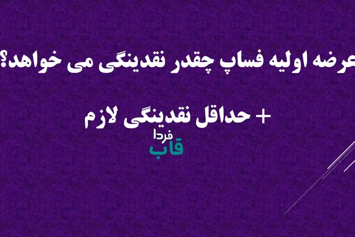 عرضه اولیه فساپ چقدر نقدینگی می خواهد؟ + حداقل نقدینگی لازم