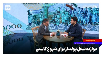 ۱۲ شغل پولساز برای شروع کاسبی